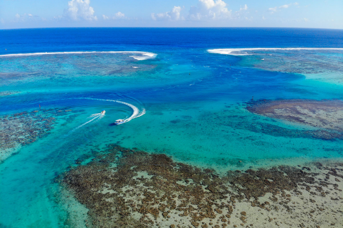 Tahiti Moorea French Polynesia Scuba Diving 9