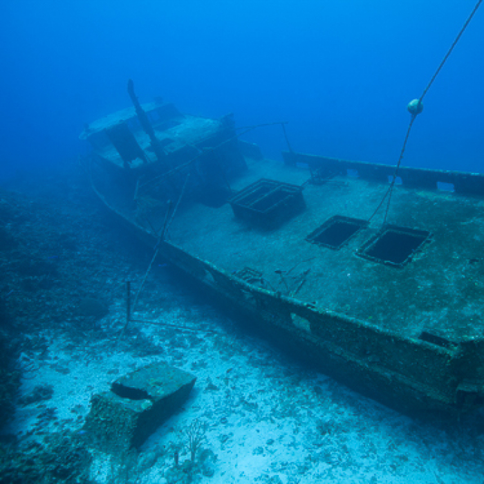 Honduras Scuba Diving Roatan Wreck 2