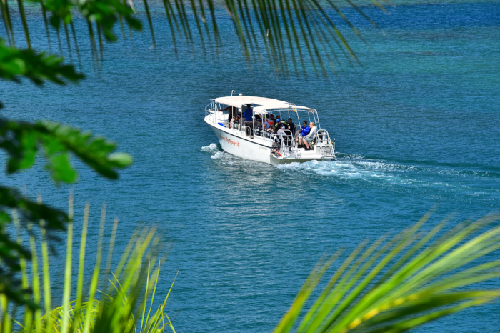 Anthonys Key Resort 36