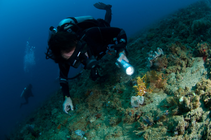 Ambon Maluku Indonesia 3