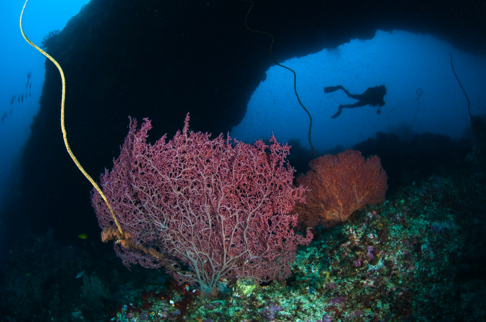 Ambon Maluku Indonesia 7