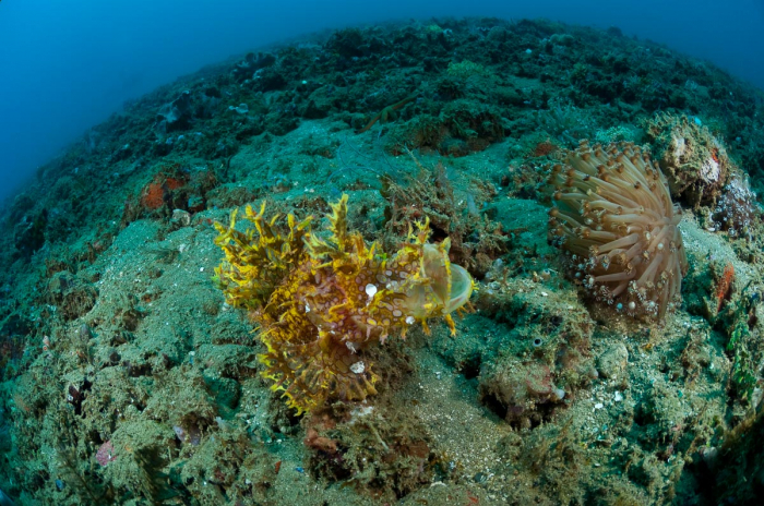 Ambon Maluku Indonesia 8
