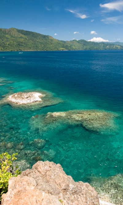 Ambon Maluku Indonesia Portrait