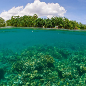 Pemuteran Beach Split