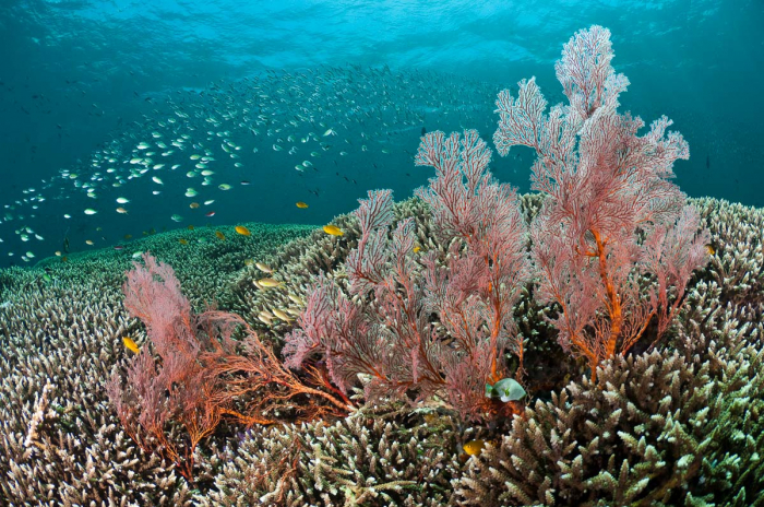 Amed Bali Indonesia 10