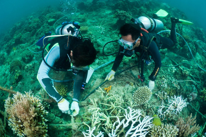 Bali_Biorock_Pemuteran_Diver