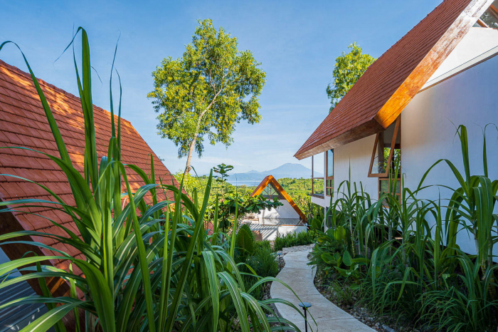 Deep Roots Dive Yoga Resort 14