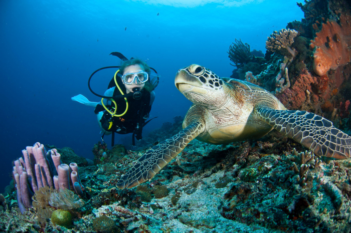 Lembongan Penida Diving