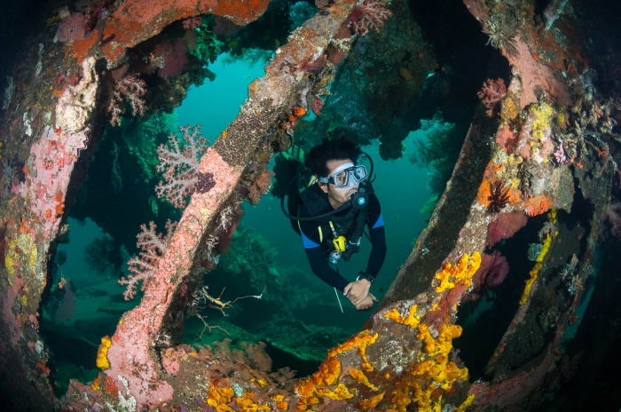 Bali Tulamben Liberty Diver