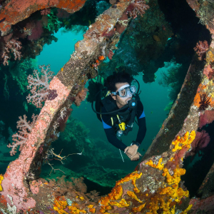 Bali Tulamben Liberty Diver