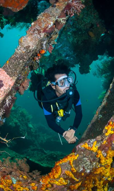 Tulamben Bali Indonesia Scuba Diving Portrait