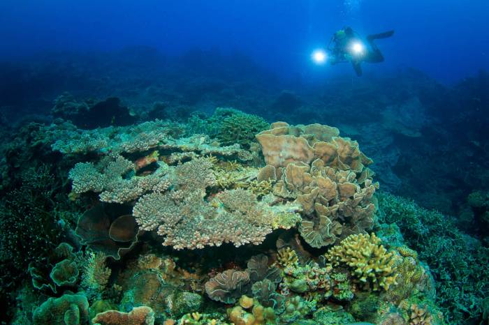 Banda Sea Forgotten Islands Indonesia 2