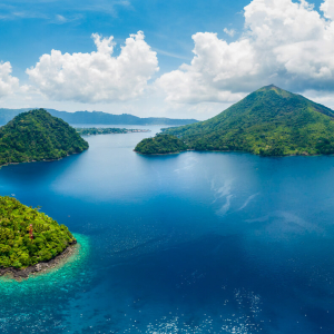 Banda Sea Banner 01