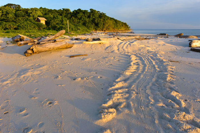 Sangalaki Derawan Maratua Indonesia 3