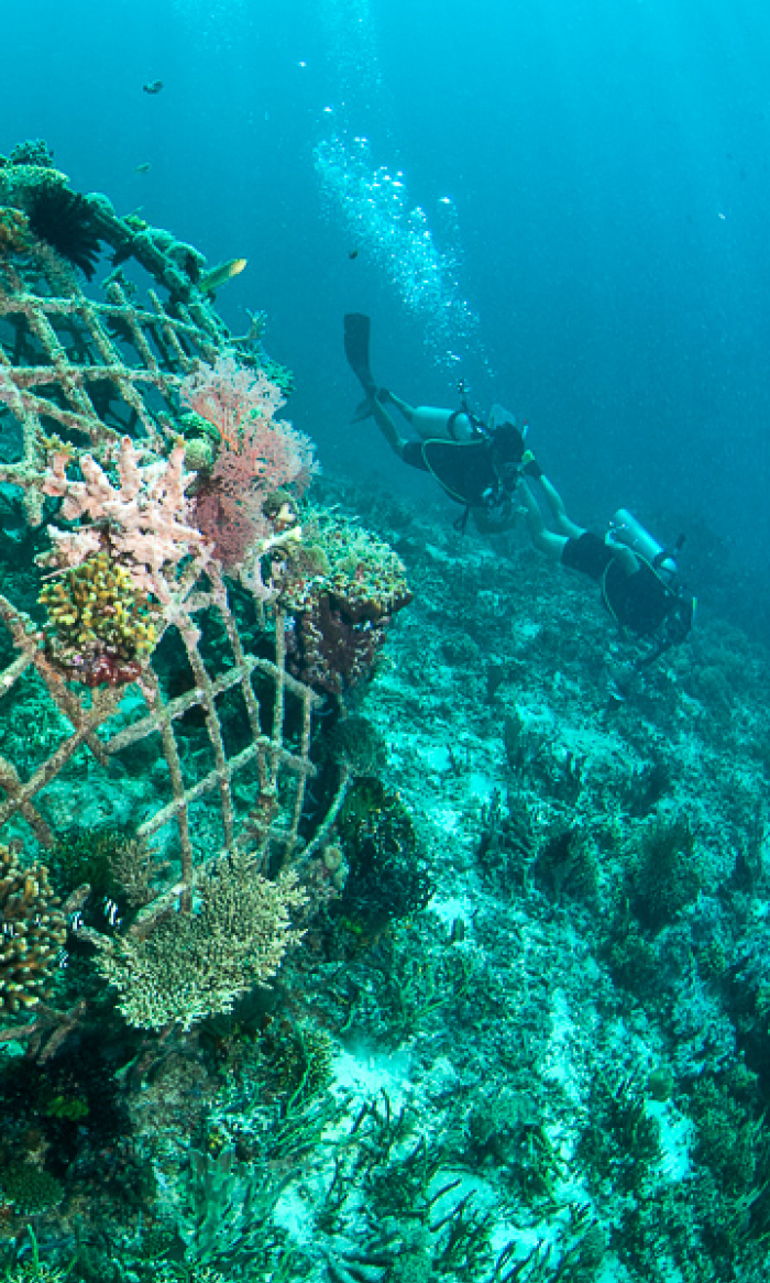 Gili Islands Scuba Diving Trawangan Air Lombok Portrait