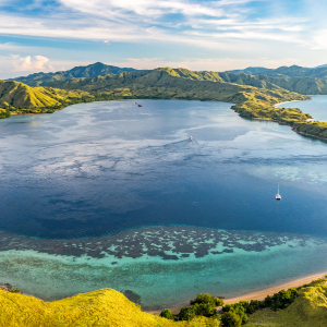 Komodo Darat Indonesia Banner