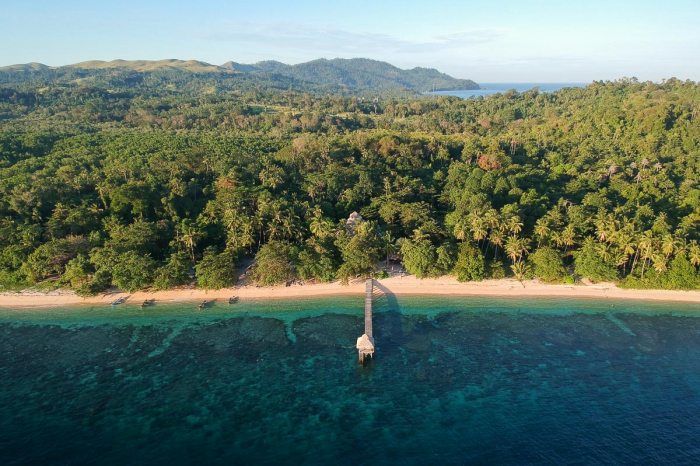 Coral Eye Sulawesi Indonesia 2