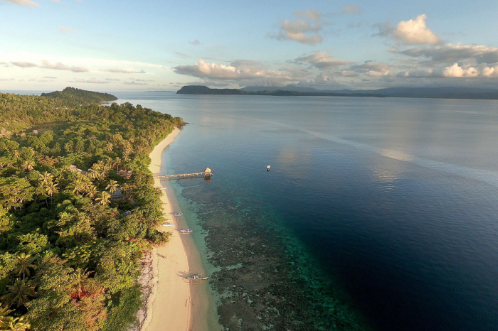 Coral Eye Sulawesi Indonesia 4