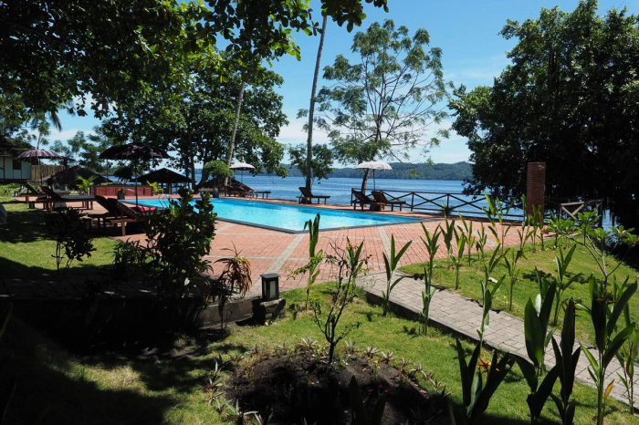 Dive Into Lembeh Sulawesi Indonesia 6