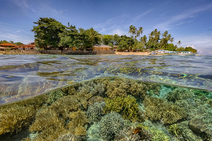 Onong Resort Resort Sulawesi Indonesia 2