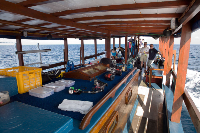 Wakatobi Resort 44