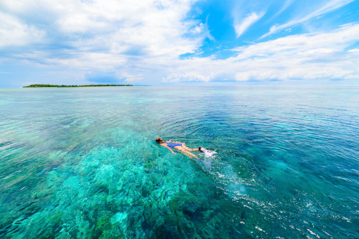 Wakatobi Indonesia Scuba Diving 13
