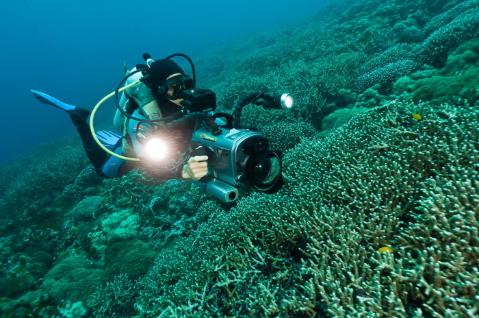 Cenderawasih Bay Papua Indonesia Diving 2