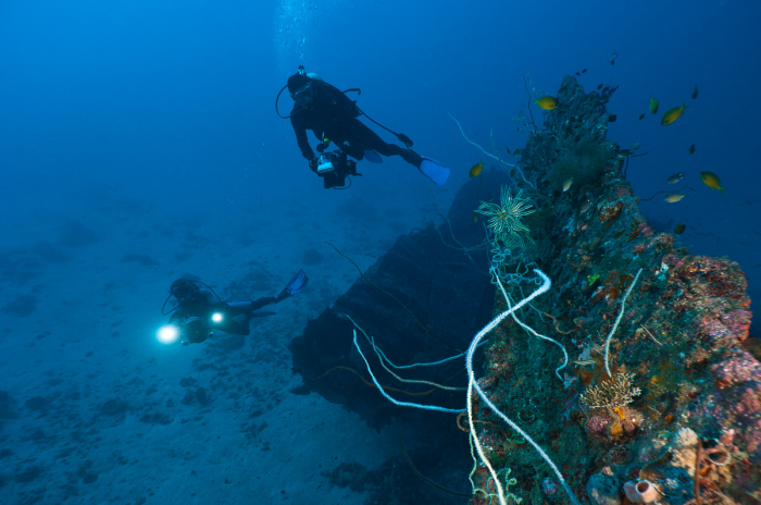 Cenderawasih Bay Papua Indonesia Diving 9