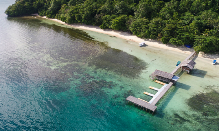 Dive Into Raja Ampat Indonesia Thumb