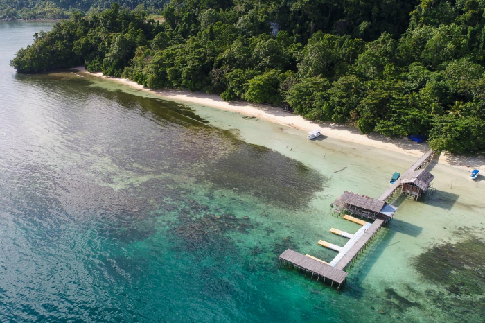 Dive Into Raja Ampat Indonesia