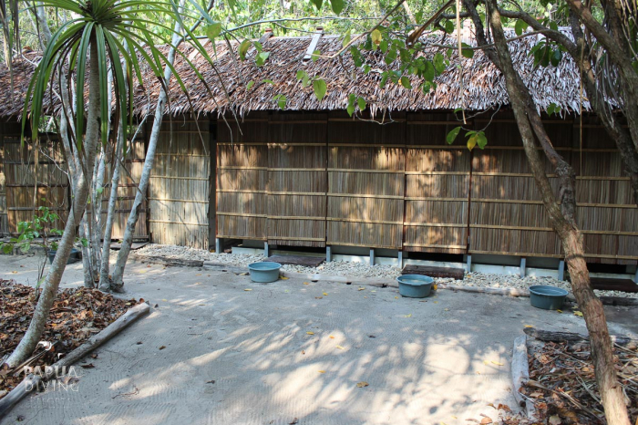 Kri Eco Resort Raja Ampat Indonesia 17