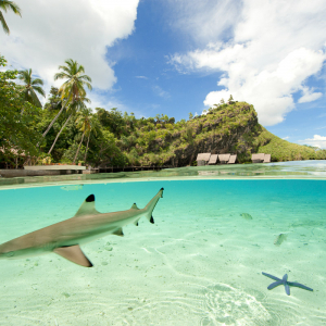 Misool Eco Resort 03