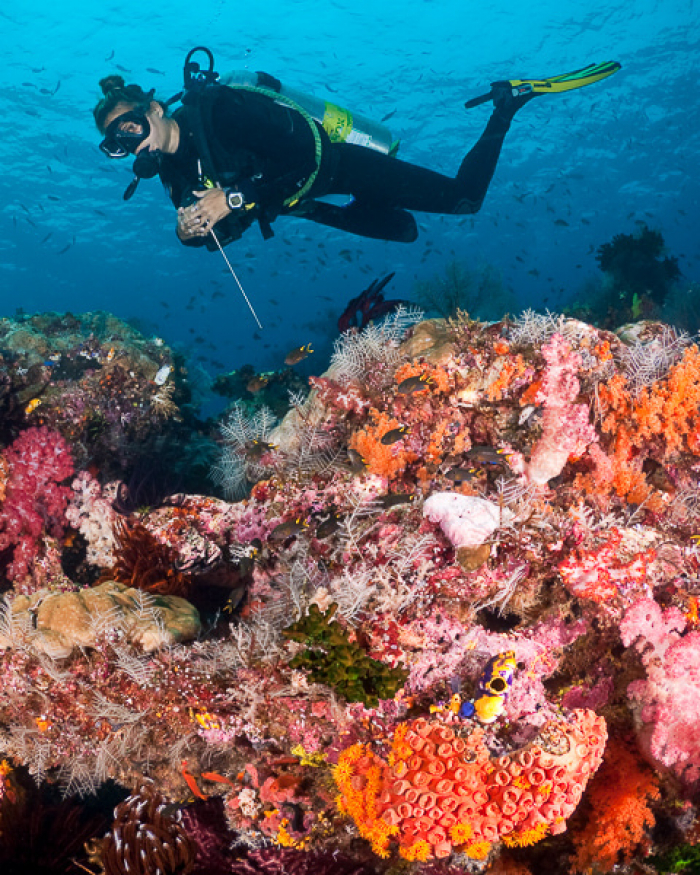 Dive Raja Ampat Reefs Indonesia Min