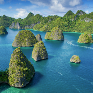 Raja Ampat liveaboards   At the very epicentre of marine biodiversity, Raja Ampat's vast network of reefs and islands is one of the most revered dive destinations in the world. And as more and more divers learn of Raja Ampat's astonishing diving, a fleet of liveaboards has sprung up that traverses these waters year round - with options for every diver.  But which of the many dive liveaboards operating in Raja Ampat is right for you? To help you decide, we’ve selected and reviewed some of the best Raja Ampat liveaboards below. Read on to find your favourite, perfect for your next dive holiday in Raja Ampat. Best liveaboard for unique itineraries Pindito  Pindito Indonesia Liveaboard   The team aboard MV Pindito have been cruising Indonesia’s remote regions for over 25-years, gaining unparalleled experience along the way. In fact, Pindito pioneered many of the now-famous diving destinations, including Raja Ampat. The recently refurbished vessel features updated amenities throughout, as well as professional-standard diving facilities, a modern camera room and technical diving support. Guests can choose from an exceptional variety of unique scheduled itineraries or create their own with a custom charter. And, it’s safe to say Pindito’s itineraries deliver some of Indonesia’s most exciting voyages, including citizen science-themed trips, family-friendly cruises, and other unique expeditions focused on whales, macro, and more! Discover Pindito Best value Raja Ampat liveaboard Oceanic  Oceanic Indonesia Liveaboard   MY Oceanic offers a modern and updated take on the traditional Indonesian phinisi. This vessel aims to get off the beaten track, offering adventurous voyages filled with the unexpected and the untouched. Accommodating just 12 divers, MY Oceanic is both intimate and sociable – setting the perfect tone for an action-packed expedition to some of Indonesia’s most far-flung islands and reefs. Discover Oceanic Ready to book you next Raja Ampat liveaboard trip?  Search all Raja Ampat liveaboards Search Best liveaboard for diving Raja Ampat in style Damai I and Damai II  Damai II Indonesia Liveaboard   Dive Damai is redefining the concept of liveaboards with their two vessels, Damai I and Damai II. Expect small groups, signature all-inclusive service, and tailor-made itineraries. With over 25-years of experience, these vessels proudly offer some of Raja Ampat’s most diverse liveaboard diving experiences, alongside spacious facilities, exquisite cuisine, and superb attention to detail. Damai I and Damai II are luxurious yet unfussy, with modern camera facilities and unlimited dive packages – perfect for dedicated divers after a few extra creature comforts. Discover Damai II Top Raja Ampat liveaboard for luxury voyages Seahorse  Seahorse Indonesia Liveaboard   If you're hoping to explore the remote corners of Raja Ampat in style, this is the boat for you. MSY Seahorse is a traditional Indonesian phinisi, recently renovated specifically for scuba diving, with all the comfort and style of a boutique hotel. This vessel’s subtle splendour, accommodating crew, and on-demand watersports will have every guest in a state of heightened relaxation. And to top it off, MSY Seahorse’s seasonal itineraries are perfectly timed for exciting wildlife encounters and the best possible conditions underwater. Discover Seahorse Best liveaboard and resort combo in Raja Ampat Coralia  Coralia Indonesia Liveaboard   The Coralia is the latest project by Papua Explorers, one of Raja Ampat’s finest resorts with a well-established reputation for exceptional service, quality and commitment to sustainability. The liveaboard collaborates closely with the resort’s Raja Ampat SEA Centre and is dedicated to protecting local reefs and communities. With its state-of-the-art facilities, the Coralia easily navigates the most sought-after areas of Raja Ampat, offering tailored routes in search of the best conditions, whatever the season. And, it’s super easy to combine your liveaboard trip with a stay at Papua Explorers resort. Discover Coralia Great for small groups Akomo Isseki  Akomo Isseki Indonesia Liveaboard   Akomo Isseki is a beautiful phinisi outfitted specifically for scuba diving expeditions, including seasonal trips to Raja Ampat. The vessel combines classical appeal with 21st-century technology and accommodates just eight guests, providing a highly intimate setting that’s ideal for a private charter. Despite its size, this boat feels plenty spacious, with individual equipment areas, a charging table, and a breezy outdoor saloon for relaxing at the end of the day. And, with so few guests on board, Akomo Isseki is sure to create the personal private charter you’ve been dreaming of. Discover Akomo Isseki Ultimate Raja Ampat liveaboard for photographers New White Manta  New White Manta Indonesia Liveaboard   The New White Manta offers adventurous and fuss-free itineraries in Raja Ampat, on board a superbly spacious and stable vessel, custom-designed for liveaboard diving. Underwater photographers are sure to be wowed by this vessel's spacious camera room, wide outdoor work table, and blow-dry stations – making the quest for the perfect photo just that little bit easier. Other luxurious details include a high staff to guest ratio, fine dining, and massage services, creating an all-round hassle-free experience. Discover New White Manta Top Raja Ampat liveaboard for families and friends Jakare  Jakare Indonesia Liveaboard   The Jakaré is one of the region's most impressive vessels, offering a modern twist on the classic phinisi. Unlike any boat you've ever seen, this contemporary sailing ship features inspired interior design, and charming details to help you enjoy each day on the water. Its welcoming social spaces are both luxurious and homely, creating the perfect atmosphere to relax with family or friends. Treat yourself to oversized and perfectly appointed cabins, fine dining, and optional extras like yoga and massage. Or, focus on the underwater world with up to four dives a day, plus nitrox and modern camera facilities. Discover Jakare Most sustainable Raja Ampat liveaboard Aurora  Aurora Indonesia Liveaboard   Aurora is a traditional sailing phinisi embarking on adventurous voyages through Raja Ampat and beyond. Operated by the world-renowned Dune Fleet, this vessel is a Green Fins Digital Member meaning guests can expect high standards of sustainability based on current best practices. It even offers a range of specialty trips including wildlife-themed experiences and citizen science expeditions. Aurora seamlessly combines modern amenities with an old-world aesthetic, ensuring a comfortable yet charming environment on board. And, when it comes to diving, guests have access to a range of high quality equipment and amenities, including a photography room and nitrox fills for certified guests. Discover Aurora The Indonesia liveaboard experts - Raja Ampat liveaboard diving - know before you go. Discover why you should book a Raja Ampat liveaboard for your next dive vacation and see Zebra Sharks to be hatched in Raja Ampat The zebra shark - also known as the   Scuba diving in Raja Ampat – from a dive resort or liveaboard? Raja Ampat is one of the planet's hottest diving destinations and divers now have a wide choice of ... May 23, 2023 Free guide to diving in Raja Ampat and West Papua Want to explore the best dive sites in Raja Ampat and the Bird’s Head Seascape? Download your free