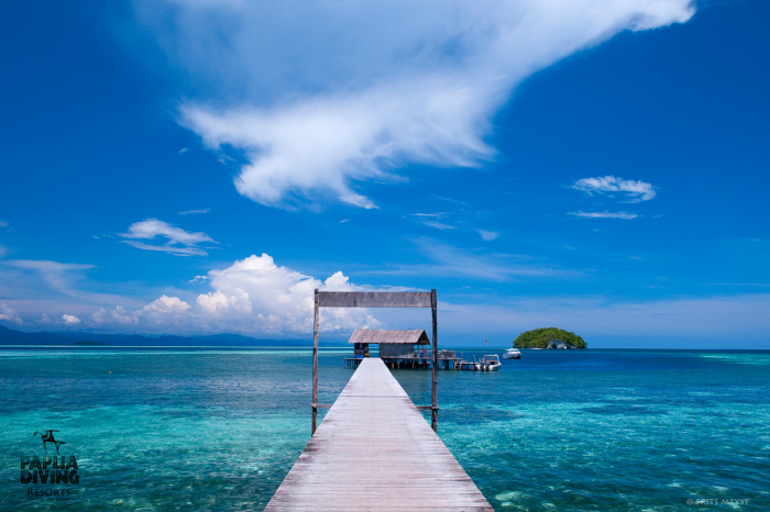 Sorido Bay Raja Ampat Indonesia 5