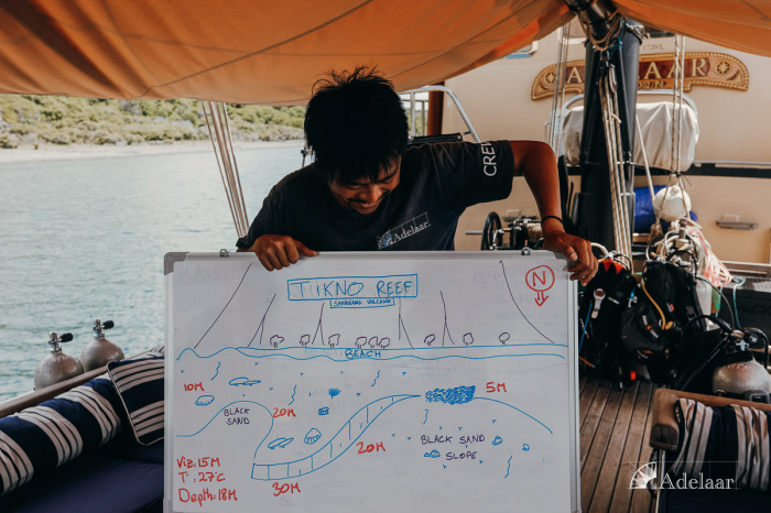 Adelaar Liveaboard Indonesia 16