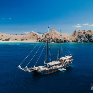 Adelaar Liveaboard Indonesia 19