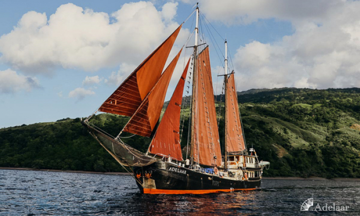 Adelaar Liveaboard Indonesia Thumb
