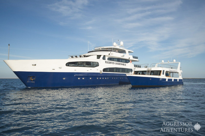 Maldives Aggressor Ii Liveaboard 2