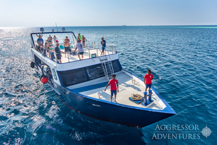 Maldives Aggressor Ii Liveaboard 22