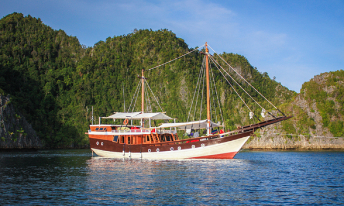 Raja Ampat liveaboards   At the very epicentre of marine biodiversity, Raja Ampat's vast network of reefs and islands is one of the most revered dive destinations in the world. And as more and more divers learn of Raja Ampat's astonishing diving, a fleet of liveaboards has sprung up that traverses these waters year round - with options for every diver.  But which of the many dive liveaboards operating in Raja Ampat is right for you? To help you decide, we’ve selected and reviewed some of the best Raja Ampat liveaboards below. Read on to find your favourite, perfect for your next dive holiday in Raja Ampat. Best liveaboard for unique itineraries Pindito  Pindito Indonesia Liveaboard   The team aboard MV Pindito have been cruising Indonesia’s remote regions for over 25-years, gaining unparalleled experience along the way. In fact, Pindito pioneered many of the now-famous diving destinations, including Raja Ampat. The recently refurbished vessel features updated amenities throughout, as well as professional-standard diving facilities, a modern camera room and technical diving support. Guests can choose from an exceptional variety of unique scheduled itineraries or create their own with a custom charter. And, it’s safe to say Pindito’s itineraries deliver some of Indonesia’s most exciting voyages, including citizen science-themed trips, family-friendly cruises, and other unique expeditions focused on whales, macro, and more! Discover Pindito Best value Raja Ampat liveaboard Oceanic  Oceanic Indonesia Liveaboard   MY Oceanic offers a modern and updated take on the traditional Indonesian phinisi. This vessel aims to get off the beaten track, offering adventurous voyages filled with the unexpected and the untouched. Accommodating just 12 divers, MY Oceanic is both intimate and sociable – setting the perfect tone for an action-packed expedition to some of Indonesia’s most far-flung islands and reefs. Discover Oceanic Ready to book you next Raja Ampat liveaboard trip?  Search all Raja Ampat liveaboards Search Best liveaboard for diving Raja Ampat in style Damai I and Damai II  Damai II Indonesia Liveaboard   Dive Damai is redefining the concept of liveaboards with their two vessels, Damai I and Damai II. Expect small groups, signature all-inclusive service, and tailor-made itineraries. With over 25-years of experience, these vessels proudly offer some of Raja Ampat’s most diverse liveaboard diving experiences, alongside spacious facilities, exquisite cuisine, and superb attention to detail. Damai I and Damai II are luxurious yet unfussy, with modern camera facilities and unlimited dive packages – perfect for dedicated divers after a few extra creature comforts. Discover Damai II Top Raja Ampat liveaboard for luxury voyages Seahorse  Seahorse Indonesia Liveaboard   If you're hoping to explore the remote corners of Raja Ampat in style, this is the boat for you. MSY Seahorse is a traditional Indonesian phinisi, recently renovated specifically for scuba diving, with all the comfort and style of a boutique hotel. This vessel’s subtle splendour, accommodating crew, and on-demand watersports will have every guest in a state of heightened relaxation. And to top it off, MSY Seahorse’s seasonal itineraries are perfectly timed for exciting wildlife encounters and the best possible conditions underwater. Discover Seahorse Best liveaboard and resort combo in Raja Ampat Coralia  Coralia Indonesia Liveaboard   The Coralia is the latest project by Papua Explorers, one of Raja Ampat’s finest resorts with a well-established reputation for exceptional service, quality and commitment to sustainability. The liveaboard collaborates closely with the resort’s Raja Ampat SEA Centre and is dedicated to protecting local reefs and communities. With its state-of-the-art facilities, the Coralia easily navigates the most sought-after areas of Raja Ampat, offering tailored routes in search of the best conditions, whatever the season. And, it’s super easy to combine your liveaboard trip with a stay at Papua Explorers resort. Discover Coralia Great for small groups Akomo Isseki  Akomo Isseki Indonesia Liveaboard   Akomo Isseki is a beautiful phinisi outfitted specifically for scuba diving expeditions, including seasonal trips to Raja Ampat. The vessel combines classical appeal with 21st-century technology and accommodates just eight guests, providing a highly intimate setting that’s ideal for a private charter. Despite its size, this boat feels plenty spacious, with individual equipment areas, a charging table, and a breezy outdoor saloon for relaxing at the end of the day. And, with so few guests on board, Akomo Isseki is sure to create the personal private charter you’ve been dreaming of. Discover Akomo Isseki Ultimate Raja Ampat liveaboard for photographers New White Manta  New White Manta Indonesia Liveaboard   The New White Manta offers adventurous and fuss-free itineraries in Raja Ampat, on board a superbly spacious and stable vessel, custom-designed for liveaboard diving. Underwater photographers are sure to be wowed by this vessel's spacious camera room, wide outdoor work table, and blow-dry stations – making the quest for the perfect photo just that little bit easier. Other luxurious details include a high staff to guest ratio, fine dining, and massage services, creating an all-round hassle-free experience. Discover New White Manta Top Raja Ampat liveaboard for families and friends Jakare  Jakare Indonesia Liveaboard   The Jakaré is one of the region's most impressive vessels, offering a modern twist on the classic phinisi. Unlike any boat you've ever seen, this contemporary sailing ship features inspired interior design, and charming details to help you enjoy each day on the water. Its welcoming social spaces are both luxurious and homely, creating the perfect atmosphere to relax with family or friends. Treat yourself to oversized and perfectly appointed cabins, fine dining, and optional extras like yoga and massage. Or, focus on the underwater world with up to four dives a day, plus nitrox and modern camera facilities. Discover Jakare Most sustainable Raja Ampat liveaboard Aurora  Aurora Indonesia Liveaboard   Aurora is a traditional sailing phinisi embarking on adventurous voyages through Raja Ampat and beyond. Operated by the world-renowned Dune Fleet, this vessel is a Green Fins Digital Member meaning guests can expect high standards of sustainability based on current best practices. It even offers a range of specialty trips including wildlife-themed experiences and citizen science expeditions. Aurora seamlessly combines modern amenities with an old-world aesthetic, ensuring a comfortable yet charming environment on board. And, when it comes to diving, guests have access to a range of high quality equipment and amenities, including a photography room and nitrox fills for certified guests. Discover Aurora The Indonesia liveaboard experts - Raja Ampat liveaboard diving - know before you go. Discover why you should book a Raja Ampat liveaboard for your next dive vacation and see Zebra Sharks to be hatched in Raja Ampat The zebra shark - also known as the   Scuba diving in Raja Ampat – from a dive resort or liveaboard? Raja Ampat is one of the planet's hottest diving destinations and divers now have a wide choice of ... May 23, 2023 Free guide to diving in Raja Ampat and West Papua Want to explore the best dive sites in Raja Ampat and the Bird’s Head Seascape? Download your free