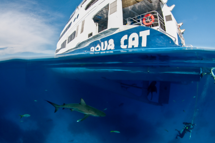 All Star Aqua Cat Liveaboard Bahamas 3