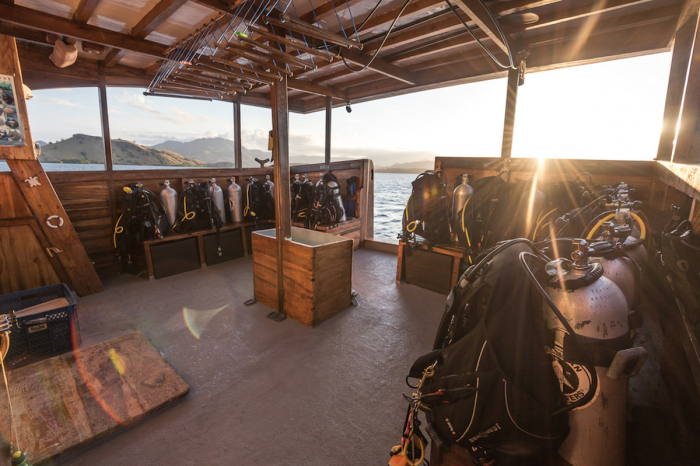 Amalia Liveaboard 9