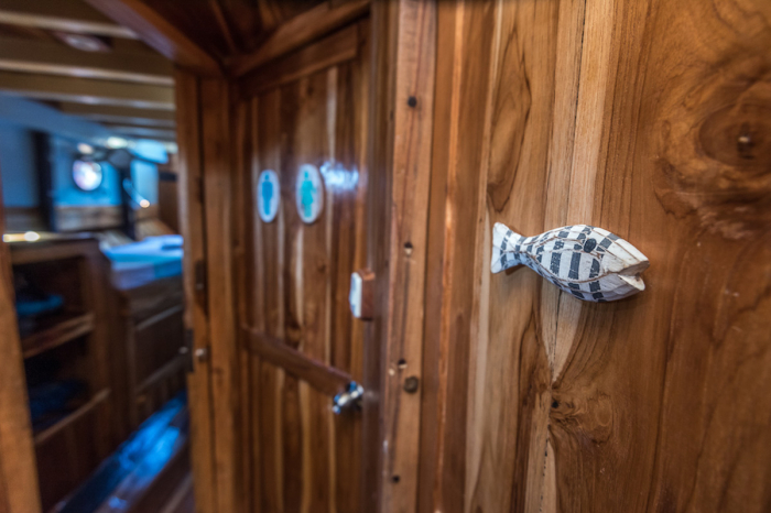 Amalia Liveaboard 16