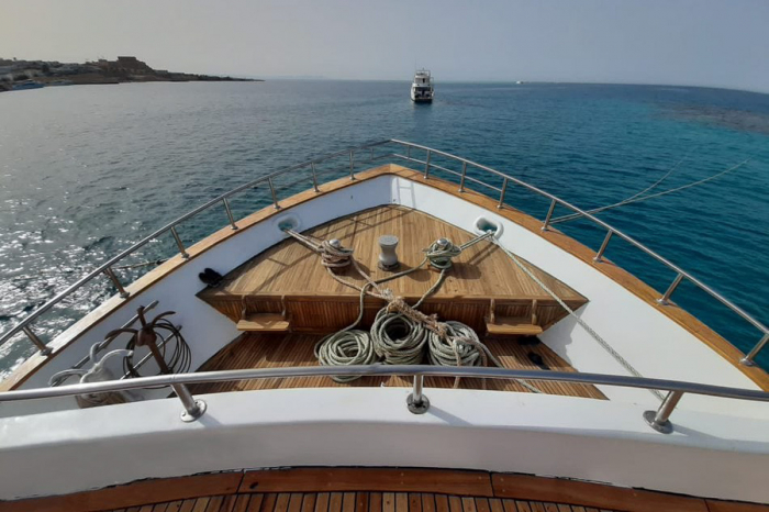 Andromeda Liveaboard 16