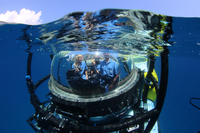 Argo Liveaboard Costa Rica Cocos Island 23