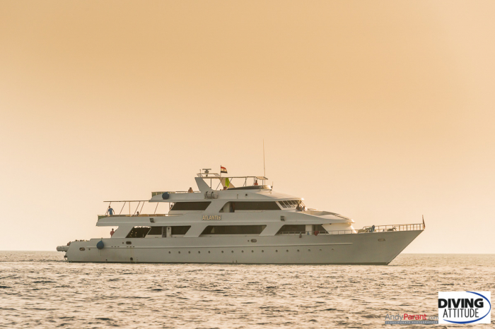 Atlantis Diving Attitude Liveaboard 11