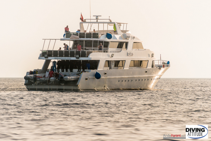 Atlantis Diving Attitude Liveaboard 15