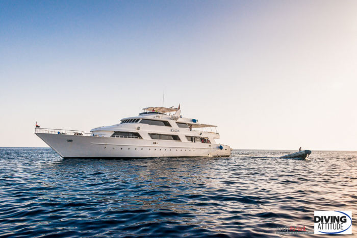 Atlantis Diving Attitude Liveaboard 16