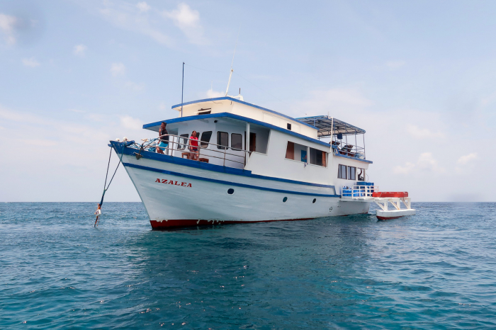 Azalea Liveaboard 5
